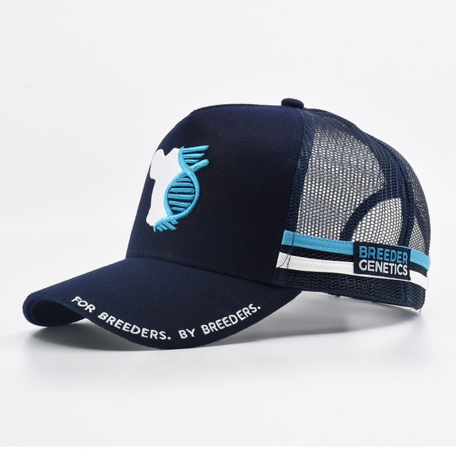 Navy Navy