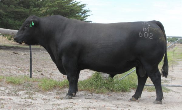 Glenoch Hinman H221 - Image 2