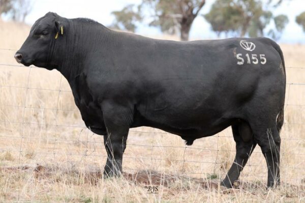 DUNOON PRIME MINISTER P758 - Image 2