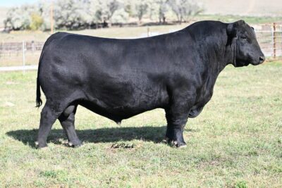LT CLARION 9054