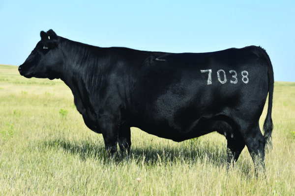 LT CLARION 9054 - Image 2
